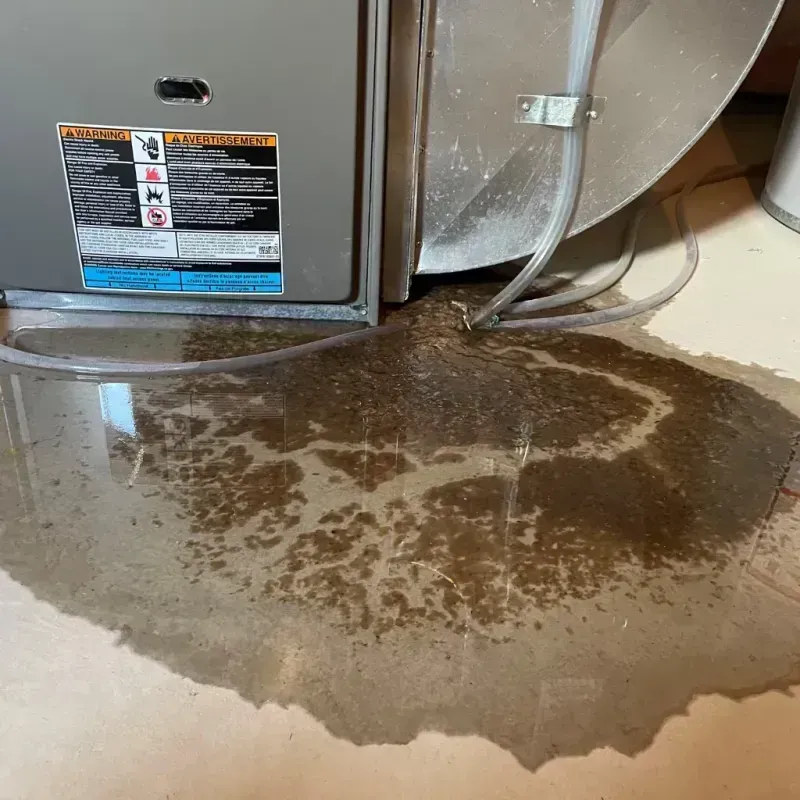 Appliance Leak Cleanup in Morada, CA